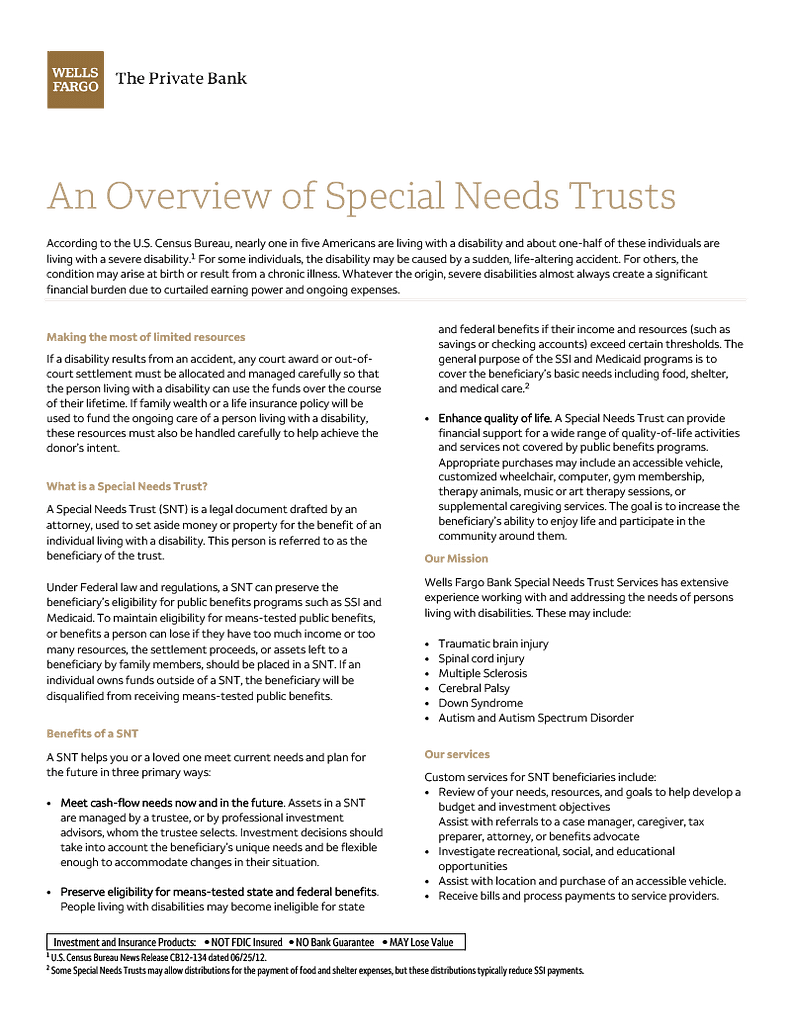 Overview Special Needs Trust-1